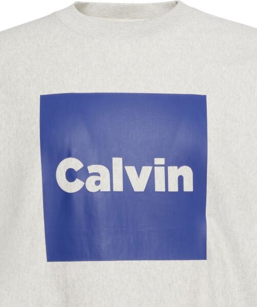 LS PREMIUM FLEECE CALVIN BOX G