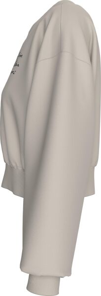 SCRIPT INSTITUTIONAL CREWNECK