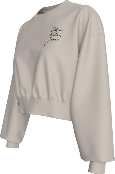SCRIPT INSTITUTIONAL CREWNECK