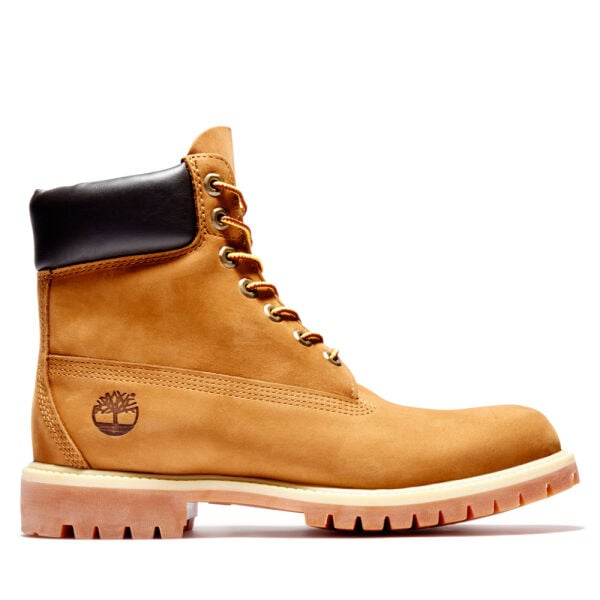 6 Premium Boot