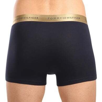3P TRUNK METALLIC WB