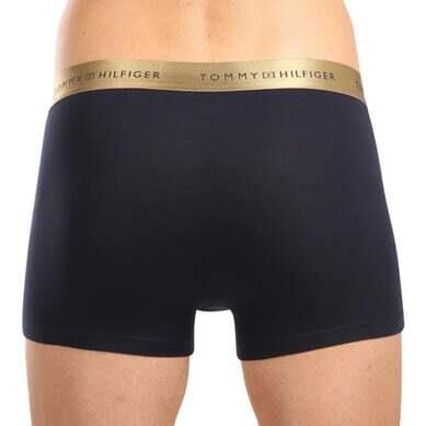 3P TRUNK METALLIC WB