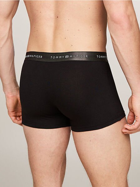 3P TRUNK METALLIC WB