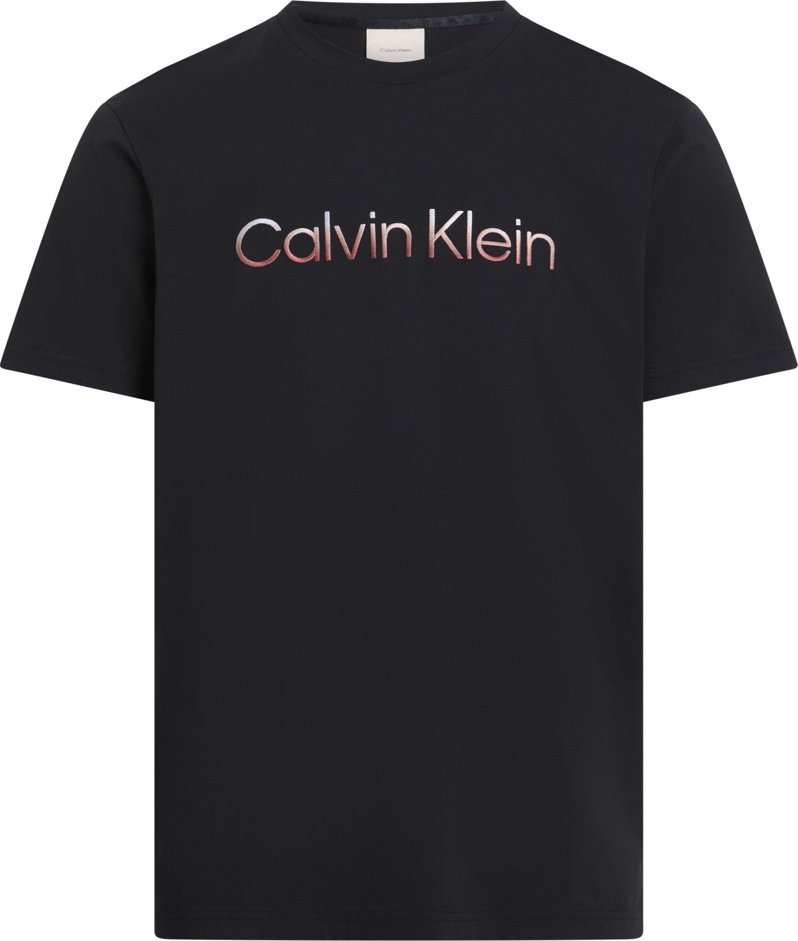 RAISED OMBRE EMBROIDERY T-SHIR