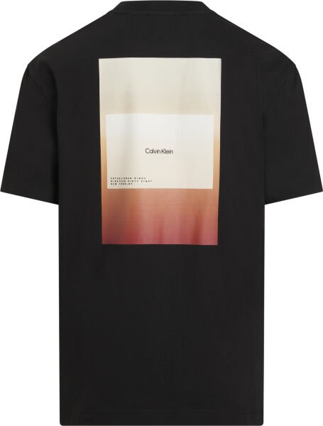 OVERLAY PRINT T-SHIRT