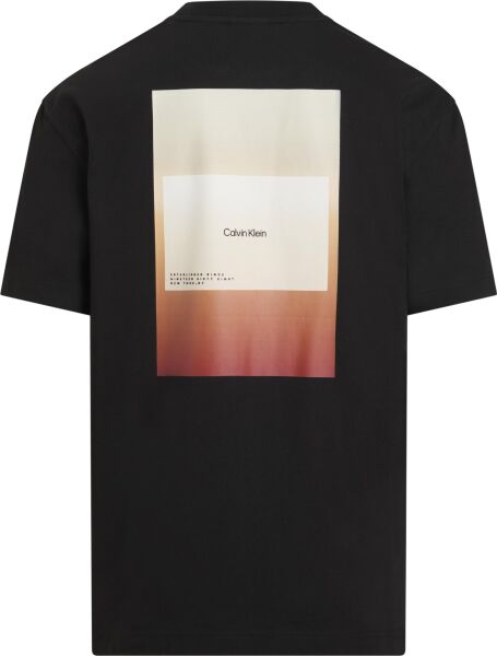 OVERLAY PRINT T-SHIRT