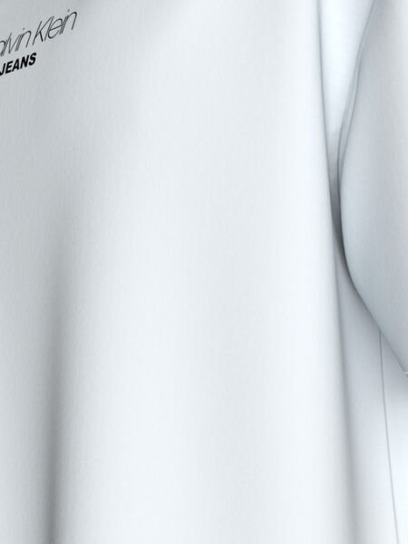 SS 16S RLXD FIT CKJ GRAPHIC TE
