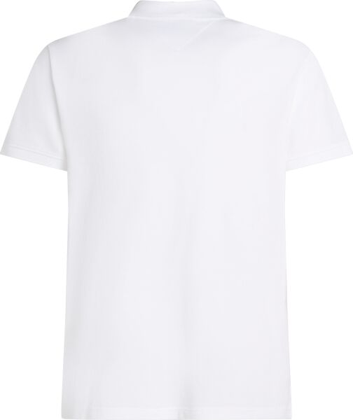 SCRIPT GRAPHIC REG POLO