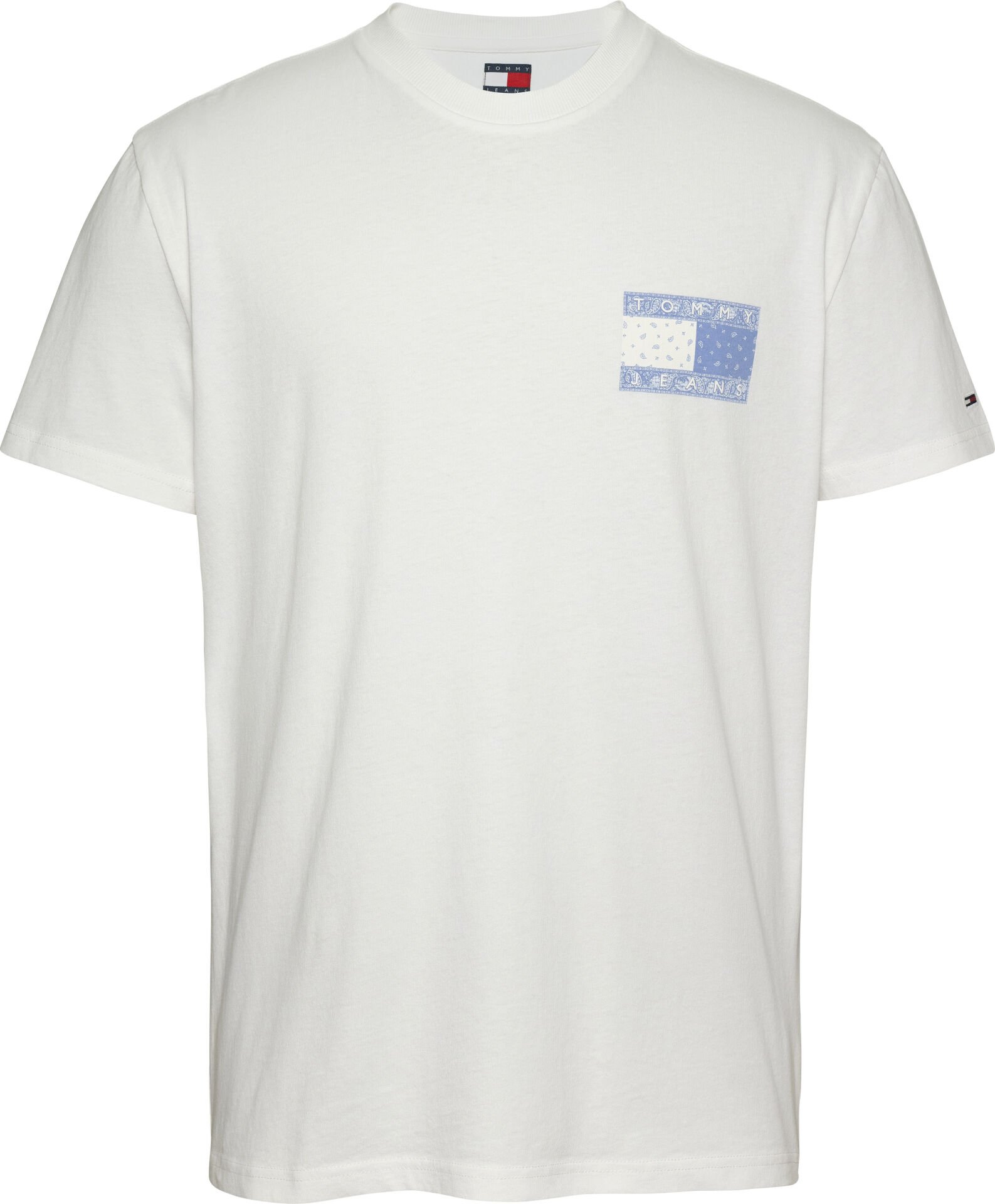 TJM REG PAISLEY FLAG TEE EXT