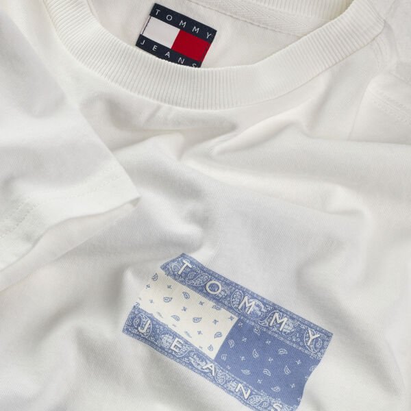 TJM REG PAISLEY FLAG TEE EXT