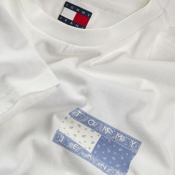 TJM REG PAISLEY FLAG TEE EXT