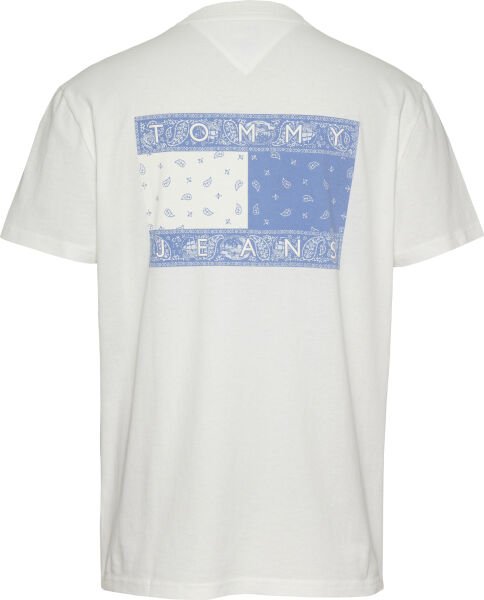 TJM REG PAISLEY FLAG TEE EXT
