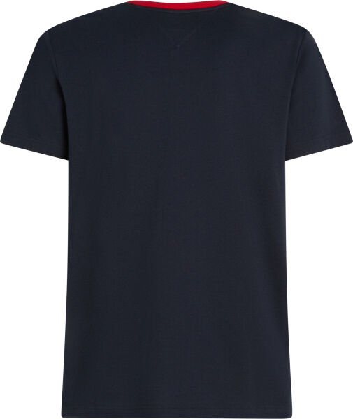 AMERICANA GRAPHIC TEE