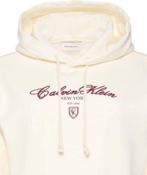 LS CROP GRAPHIC HOODIE