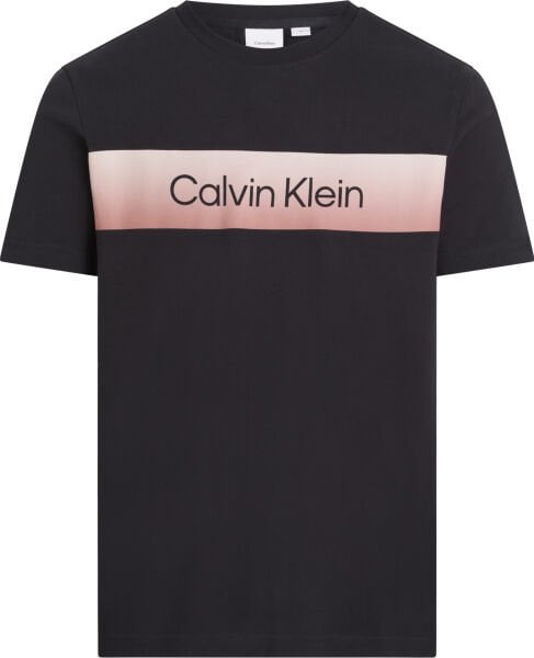 LINEAR OMBRE CHEST LOGO T-SHIR