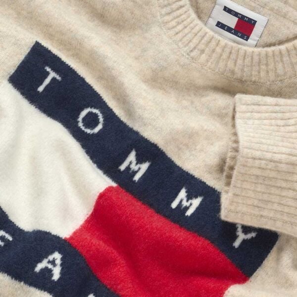 TJM REG MELANGE FLAG SWEATER