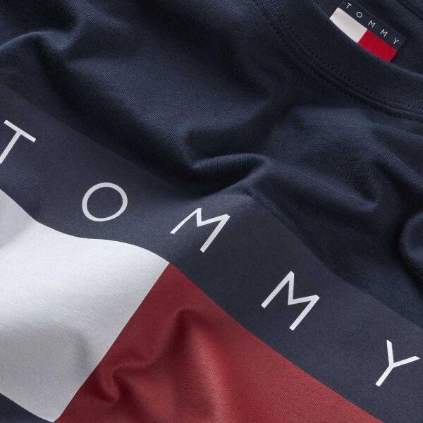 TJM REG BIG FLAG SS TEE EXT