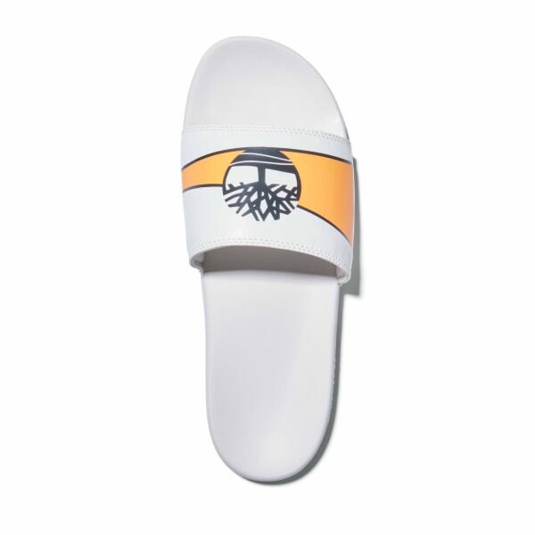 Playa Sands Sports Slide