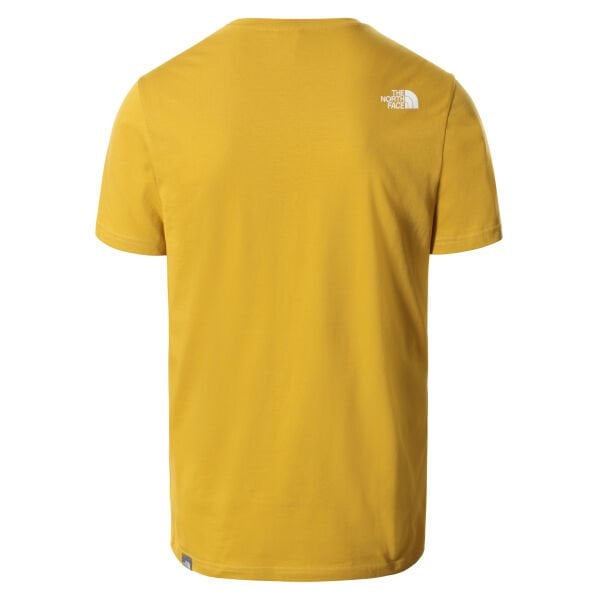 M S/S SIMPLE DOME TE