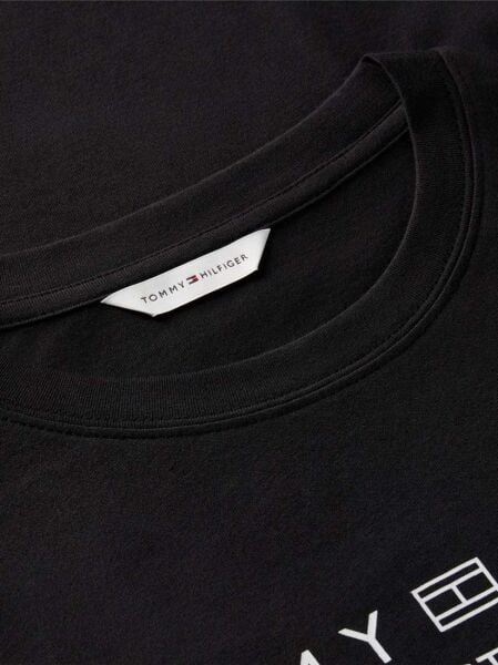 REG CORP LOGO C-NK SS
