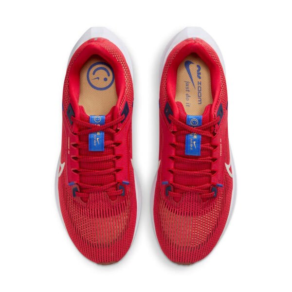 AIR ZOOM PEGASUS 40