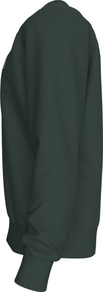 LS EU BADGE 350TERRY CN SWTSHR