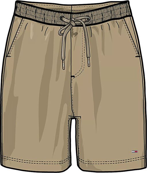 TJM S FLAG BEACH SHORT EXT