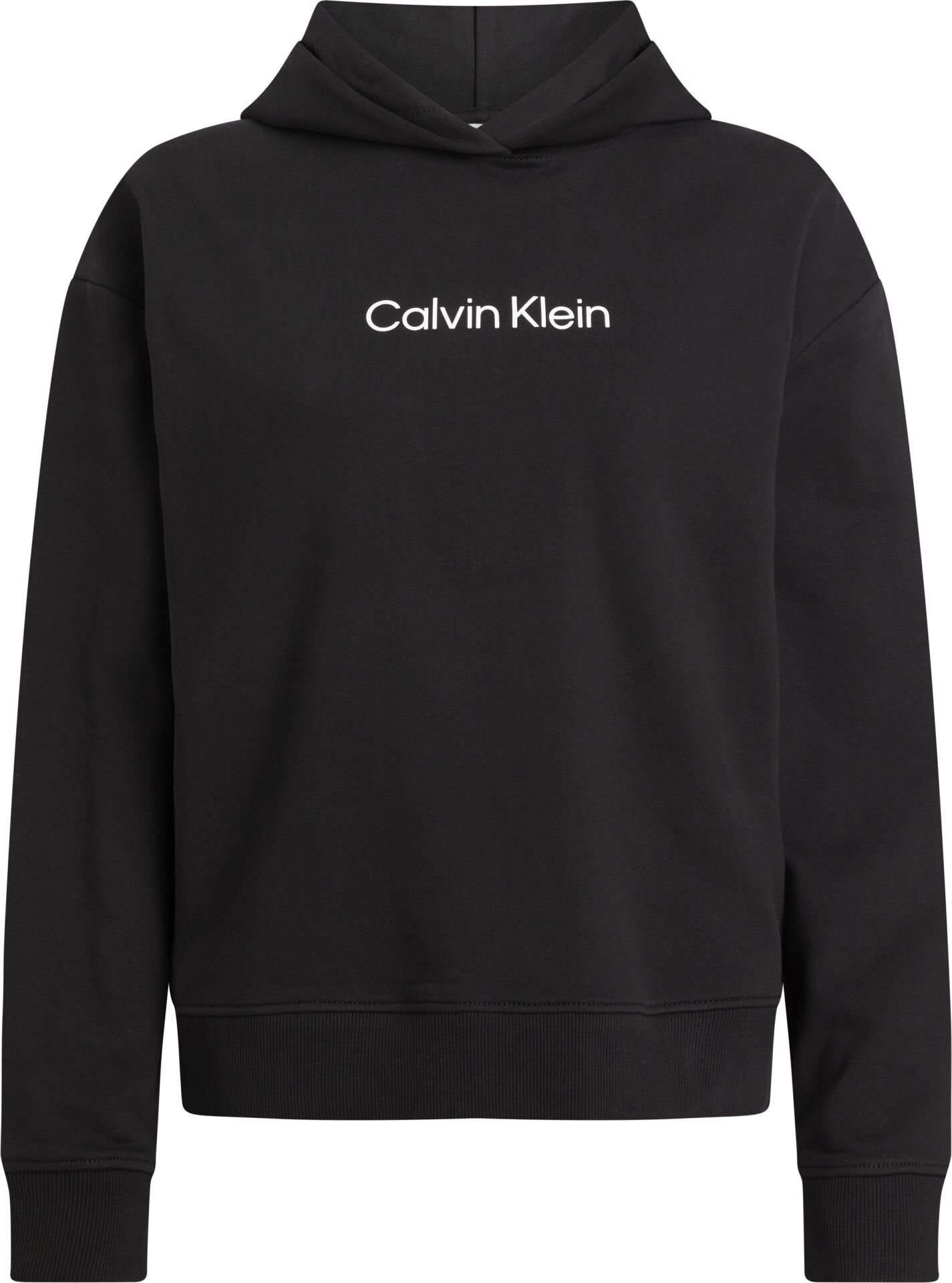 HERO LOGO HOODIE