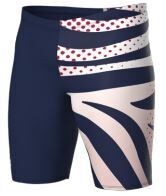 MENS ARENA MULTI STRIPES SWIM JAMMER