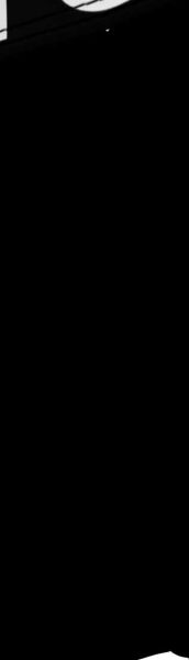 3P TRUNK