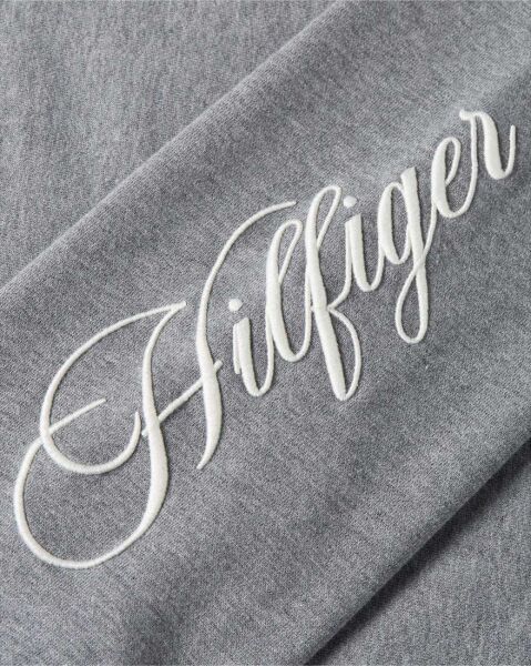 SCRIPT MDRN REG TERRY HOODIE