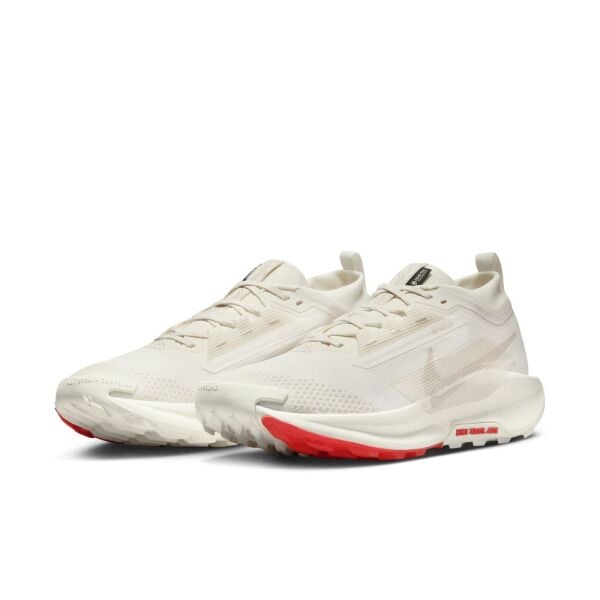 NIKE PEGASUS TRAIL 5 GTX