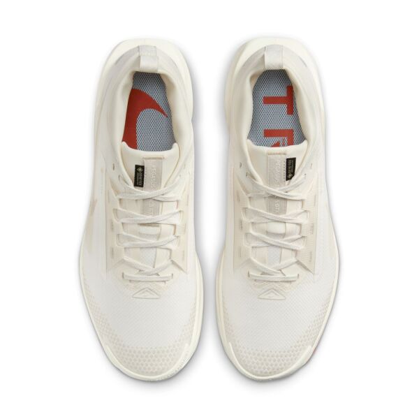 NIKE PEGASUS TRAIL 5 GTX