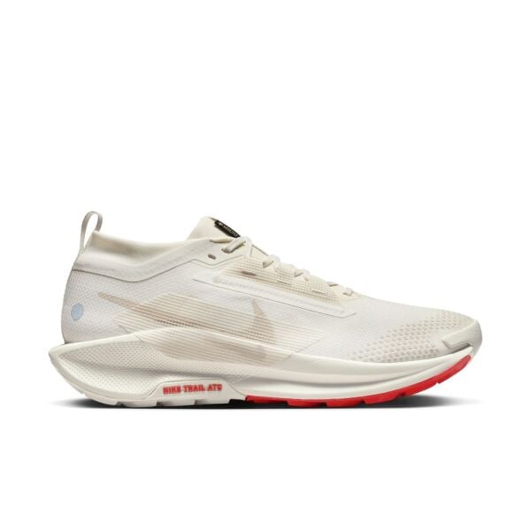 NIKE PEGASUS TRAIL 5 GTX