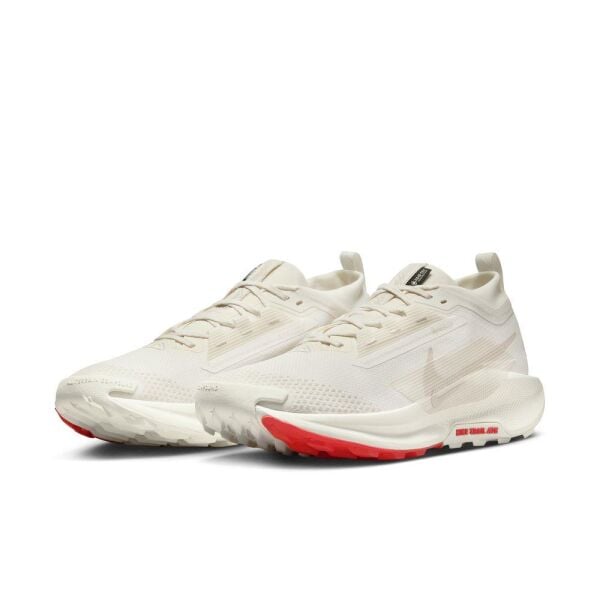 NIKE PEGASUS TRAIL 5 GTX 40