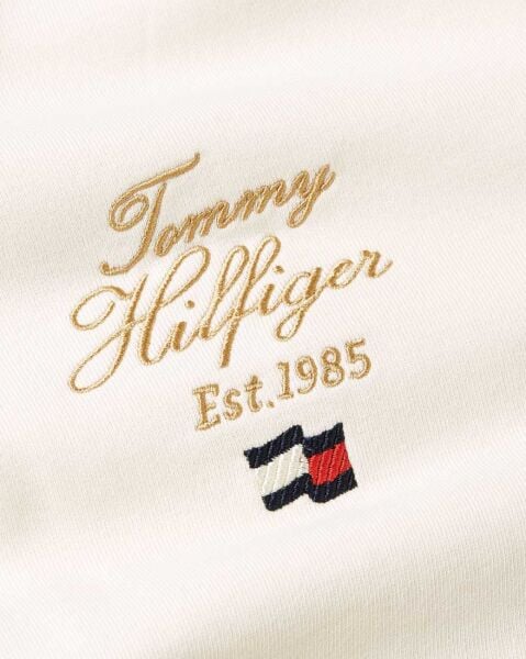 SCRIPT HILFIGER STACK HOODY