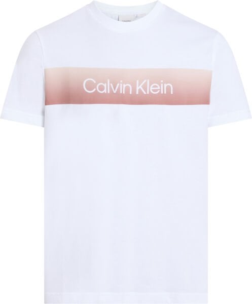 LINEAR OMBRE CHEST LOGO T-SHIR