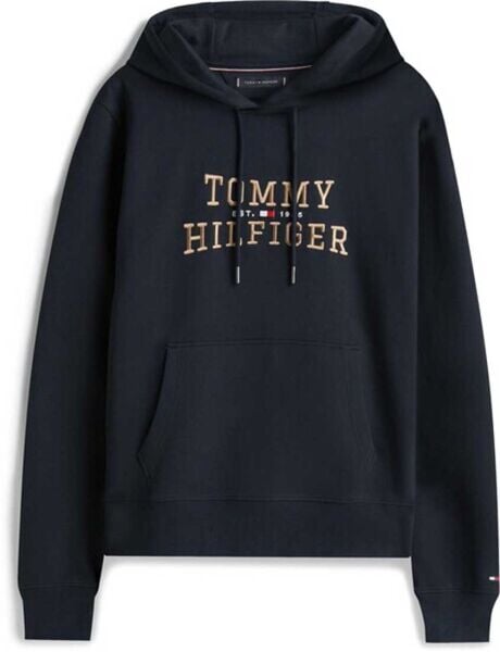 ICON INTECHNO HOODY