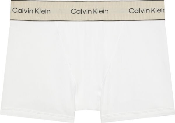 BOXER BRIEF