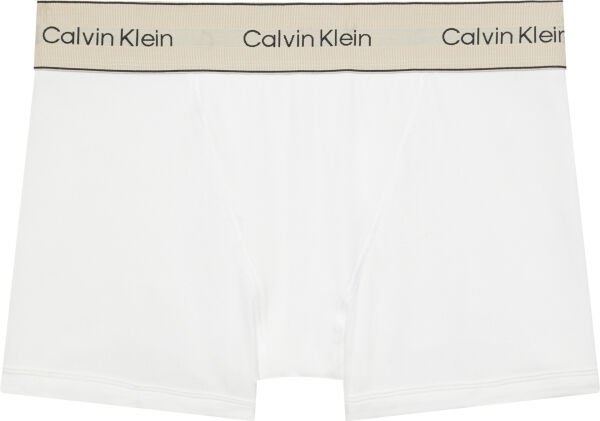 BOXER BRIEF