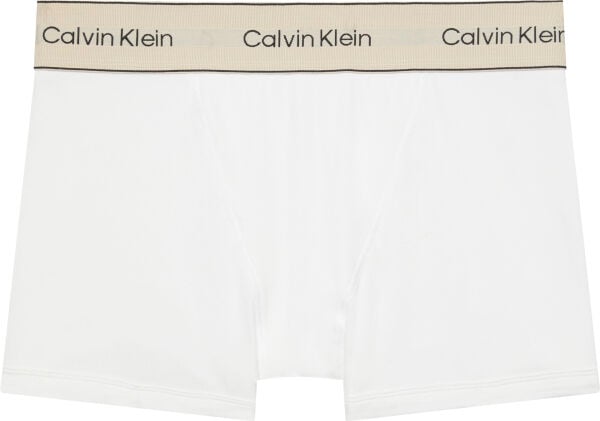 BOXER BRIEF
