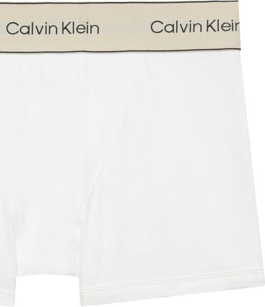 BOXER BRIEF