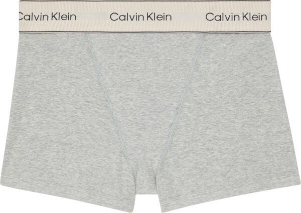 BOXER BRIEF
