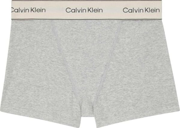 BOXER BRIEF