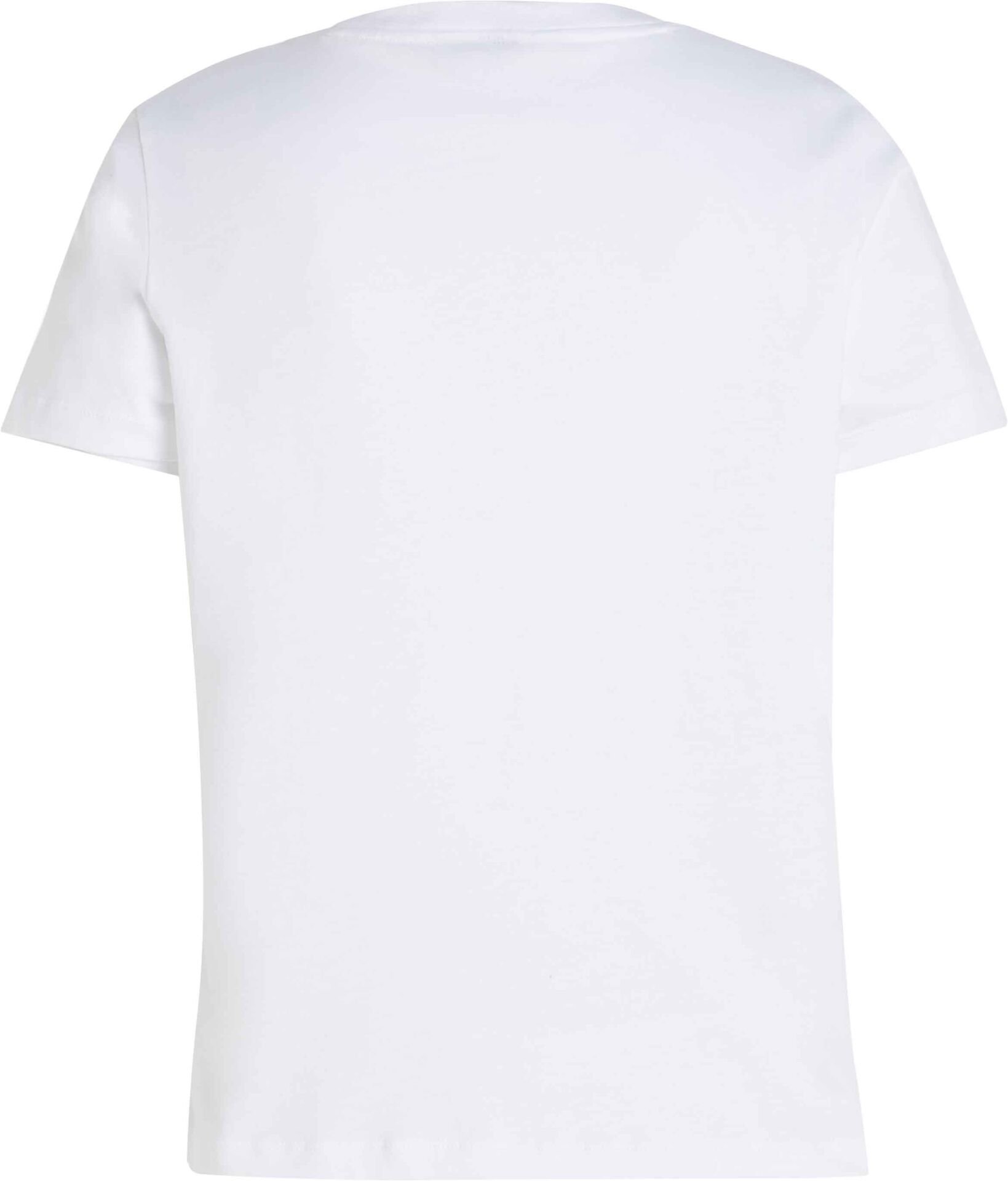 REG CORP LOGO C-NK SS