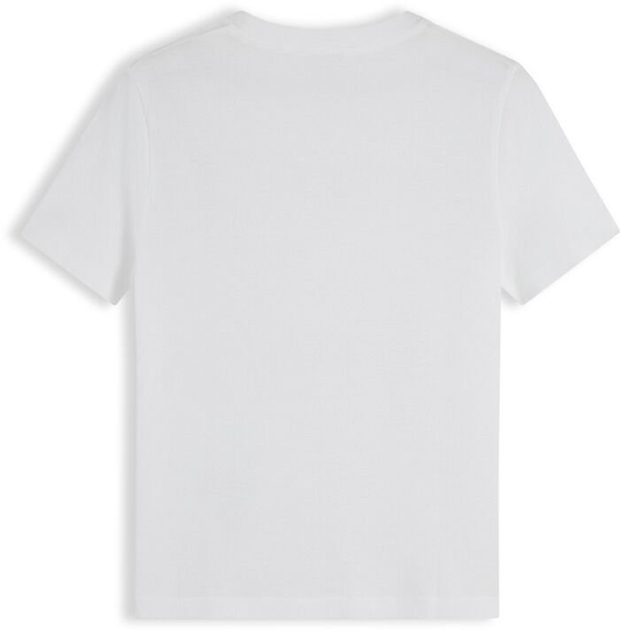 REG CORP LOGO C-NK SS