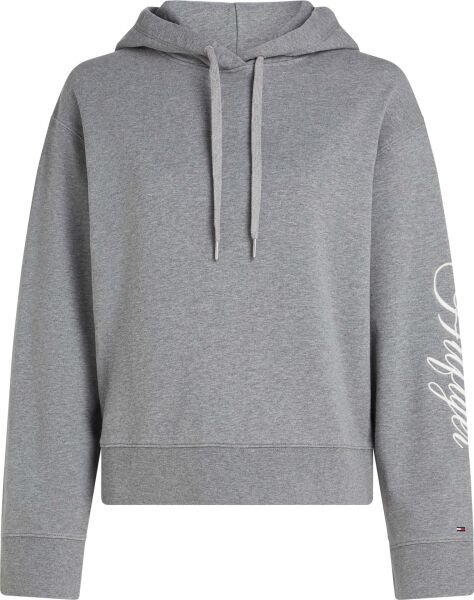 SCRIPT MDRN REG TERRY HOODIE
