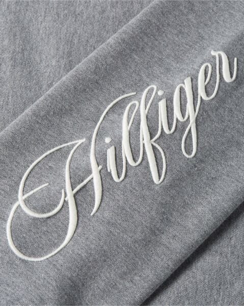 SCRIPT MDRN REG TERRY HOODIE