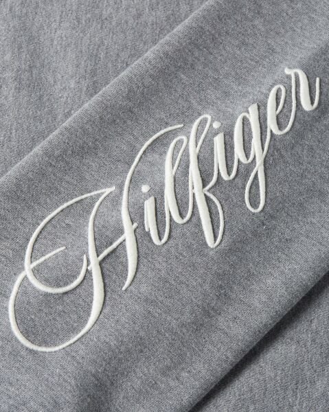 SCRIPT MDRN REG TERRY HOODIE