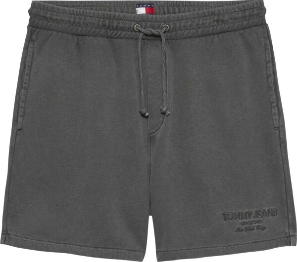 TJM NEW CLASSICS BEACH SHORT